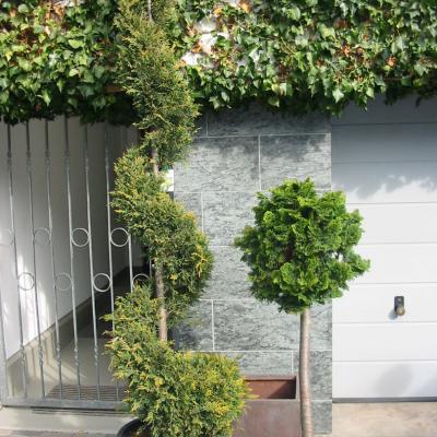 Bonzaioutdoor Formatiert Nr004