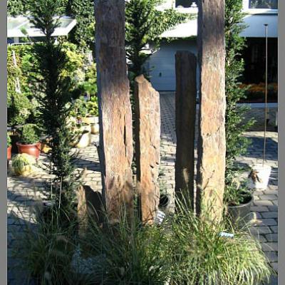 Bonzaioutdoor Formatiert Nr014